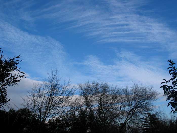 cielos1118.jpg