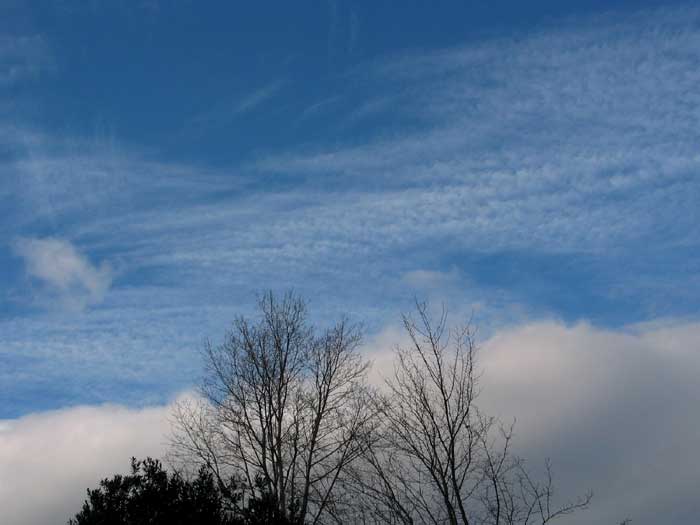 cielos1119.jpg