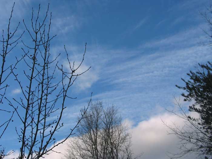 cielos1120.jpg