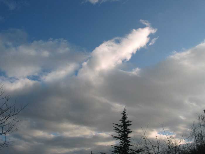 cielos1121.jpg