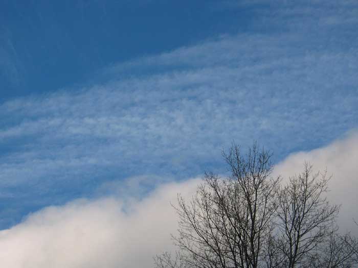 cielos1122.jpg
