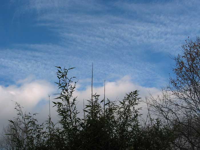 cielos1123.jpg