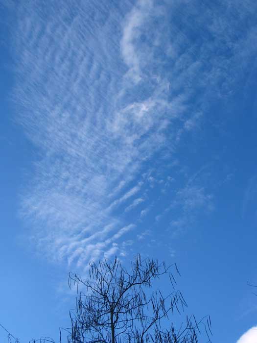cielos1124.jpg
