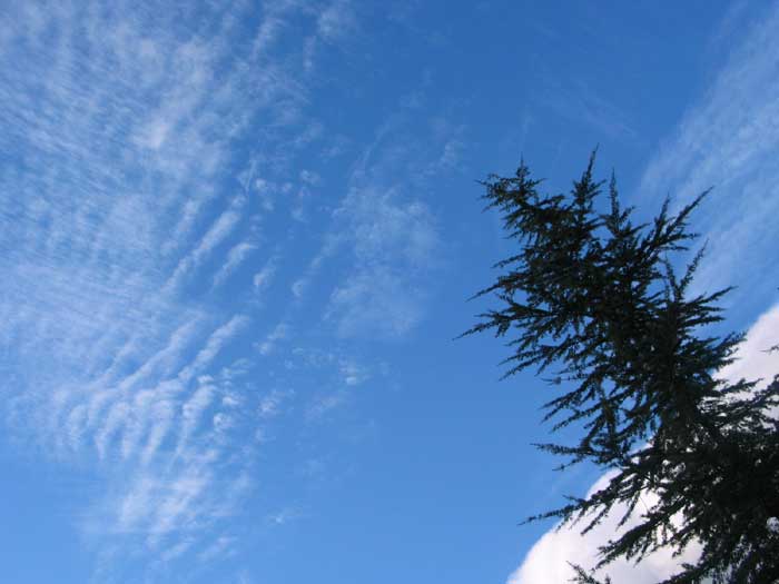 cielos1125.jpg