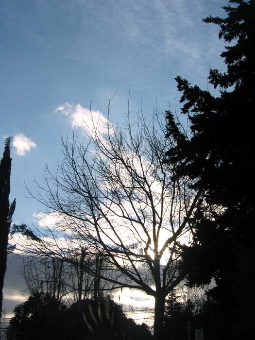 cielos1128.jpg