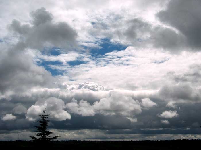 cielos1137.jpg