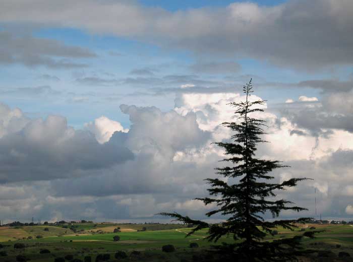 cielos1140.jpg