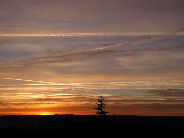 cielos1143.jpg