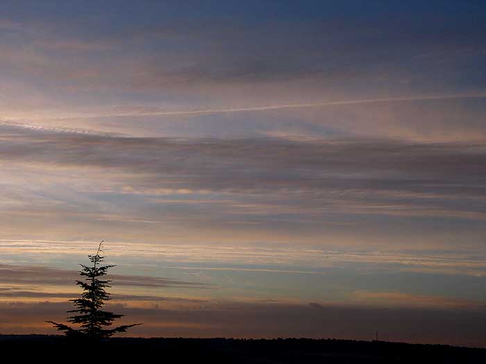 cielos1145.jpg
