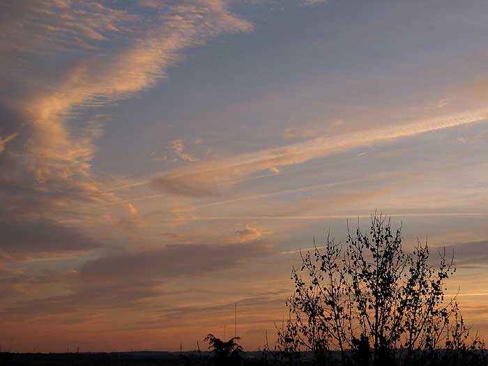 cielos1147.jpg