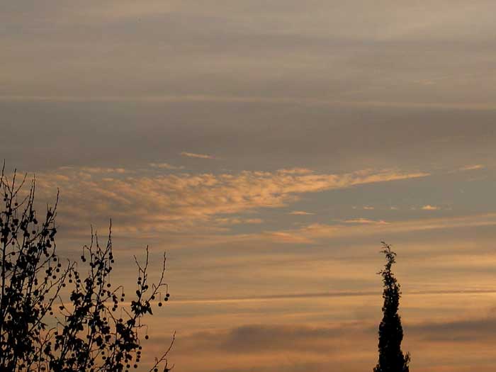 cielos1151.jpg
