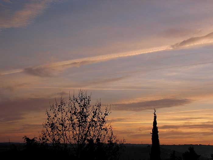 cielos1153.jpg