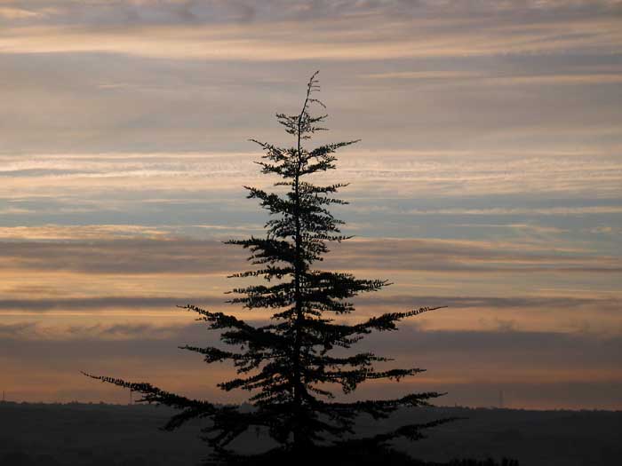 cielos1155.jpg