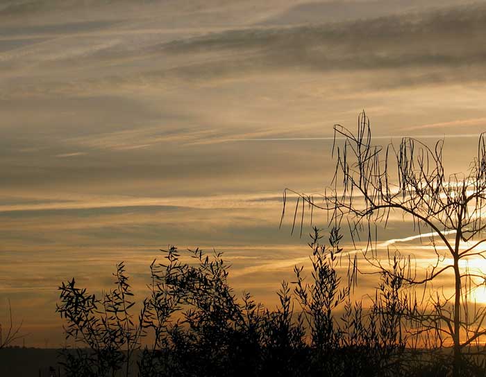 cielos1156.jpg