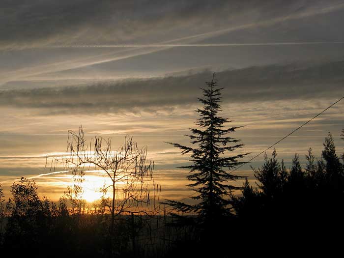 cielos1157.jpg