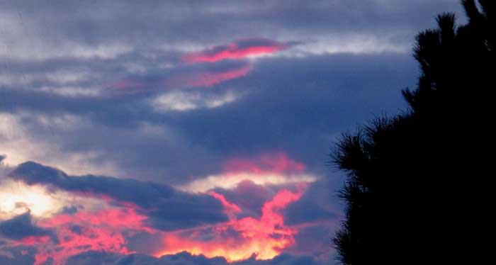 cielos1183.jpg