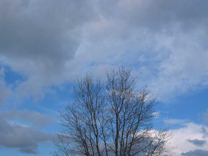 cielos1186.jpg