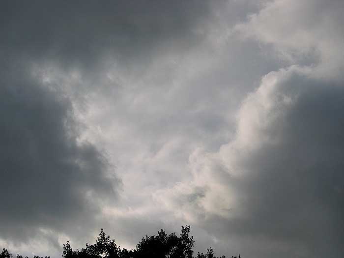 cielos1190.jpg