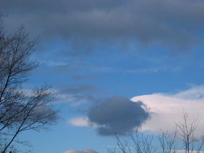 cielos1195.jpg