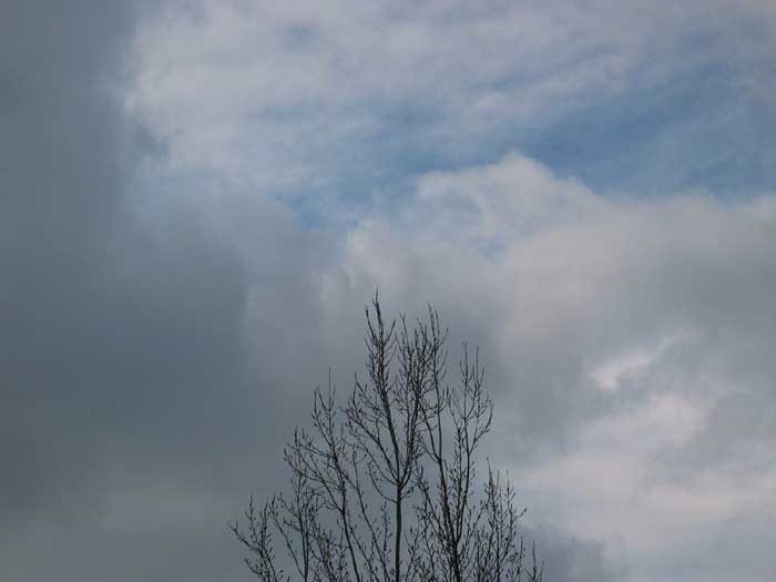 cielos1196.jpg