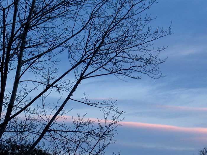 cielos1201.jpg