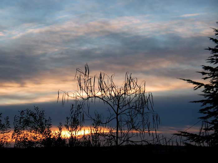 cielos1202.jpg