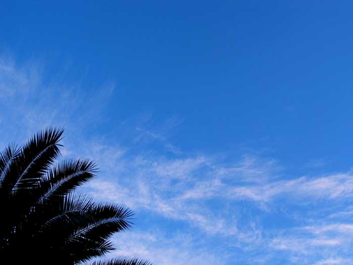 cielos1203.jpg