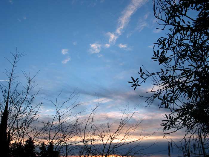 cielos1204.jpg