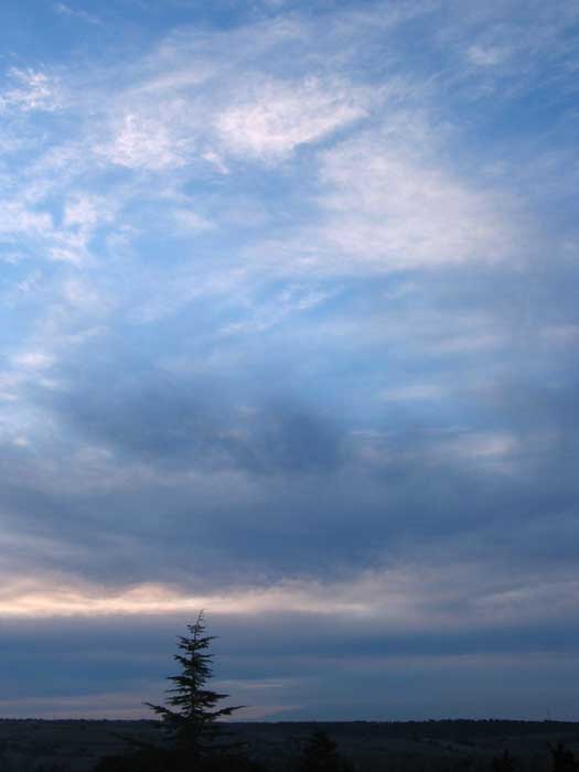 cielos1206.jpg