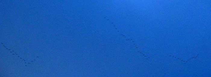 cielos1226.jpg