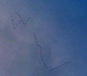 cielos1227.jpg