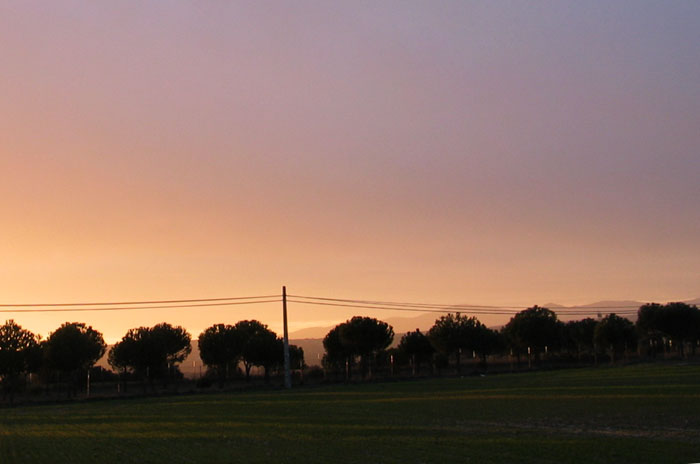 cielos1228.jpg