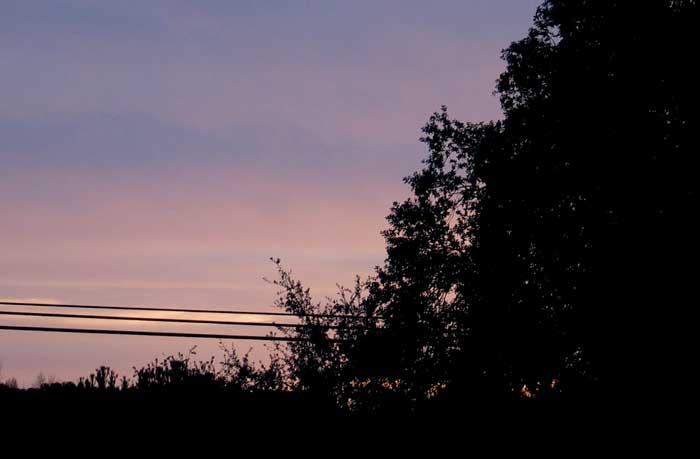 cielos1229.jpg