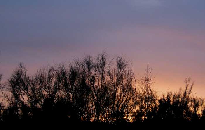 cielos1230.jpg