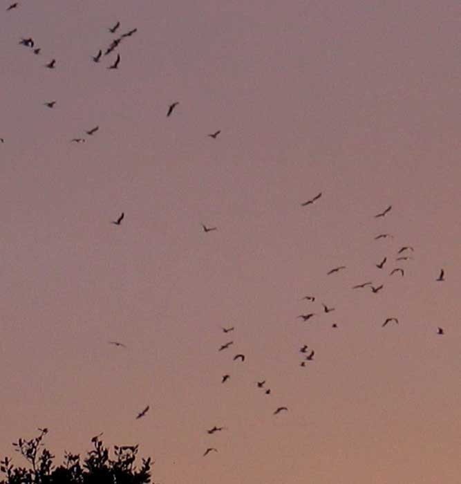 cielos1234.jpg