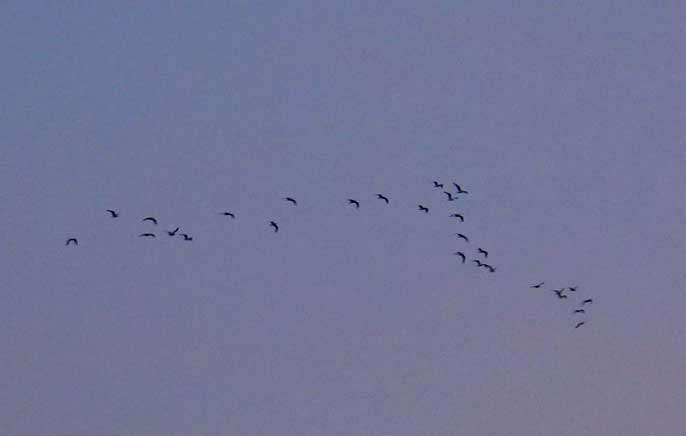 cielos1237.jpg