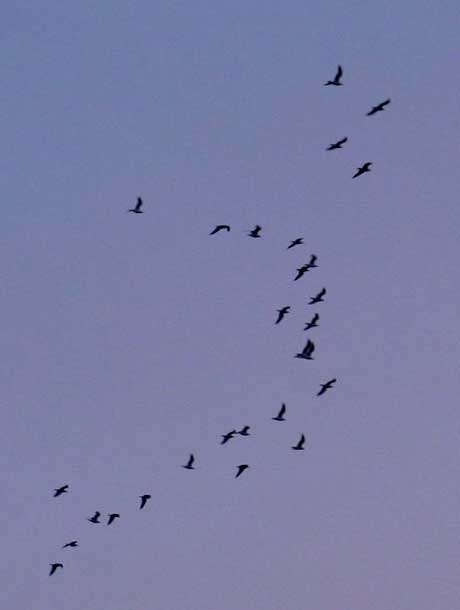 cielos1238.jpg