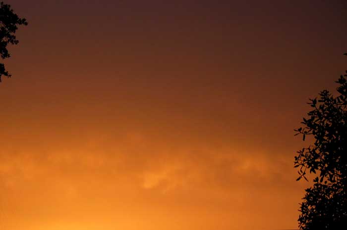 cielos1239.jpg