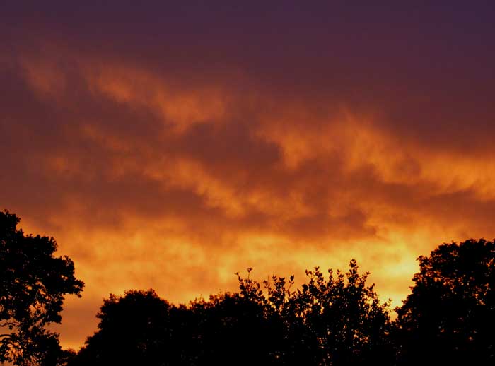 cielos1241.jpg