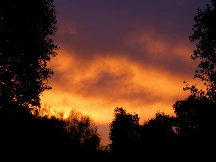 cielos1243.jpg