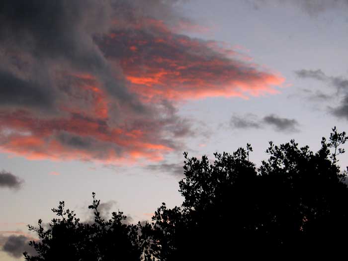 cielos1257.jpg