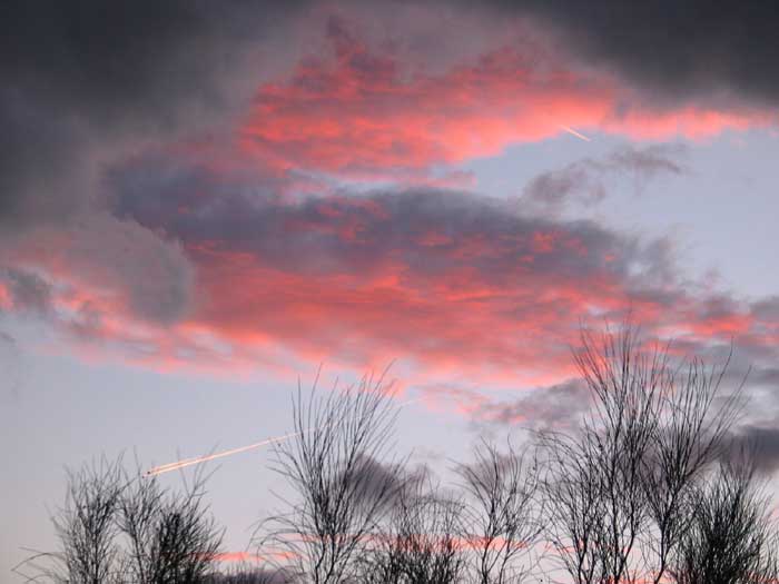 cielos1260.jpg