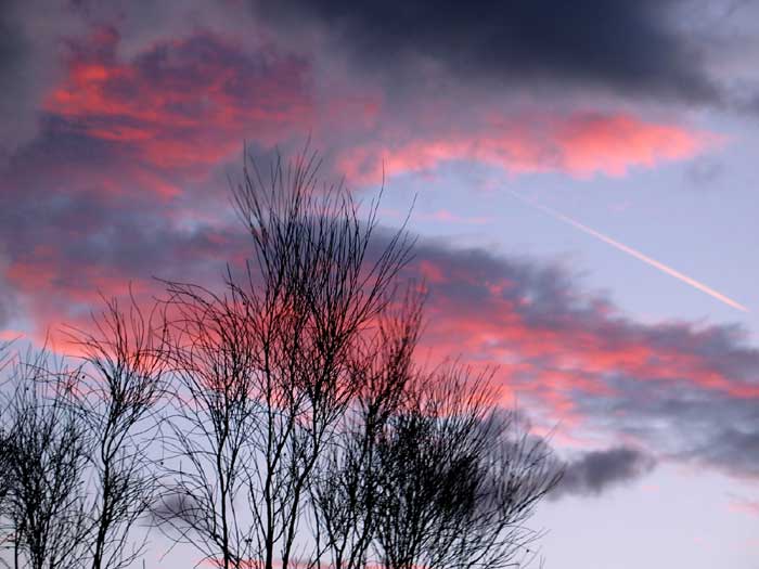cielos1262.jpg