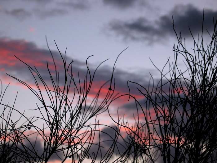 cielos1263.jpg