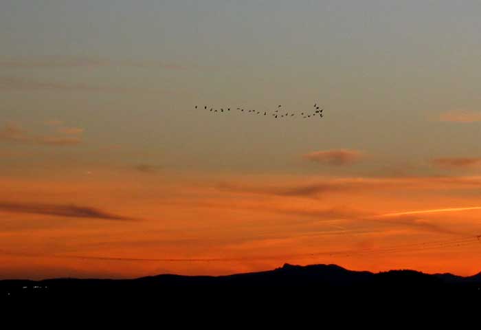 cielos1266.jpg