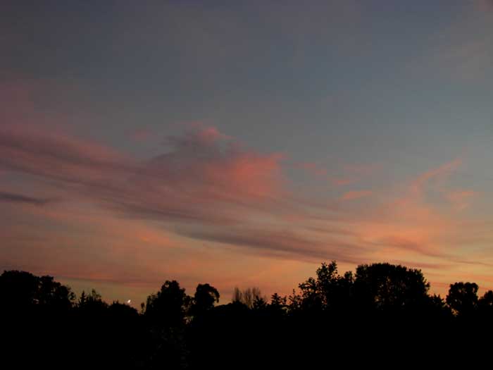cielos1268.jpg