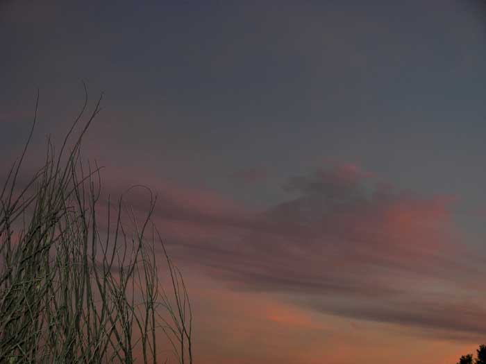 cielos1269.jpg