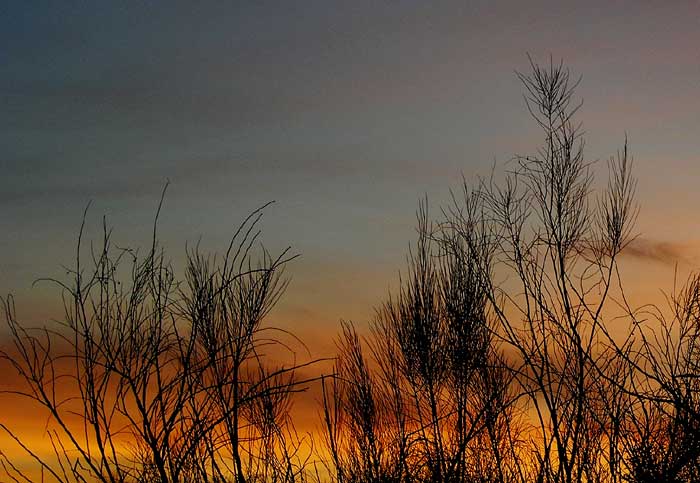 cielos1271.jpg