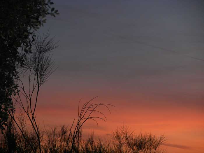 cielos1272.jpg