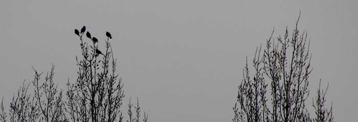 cielos1278.jpg